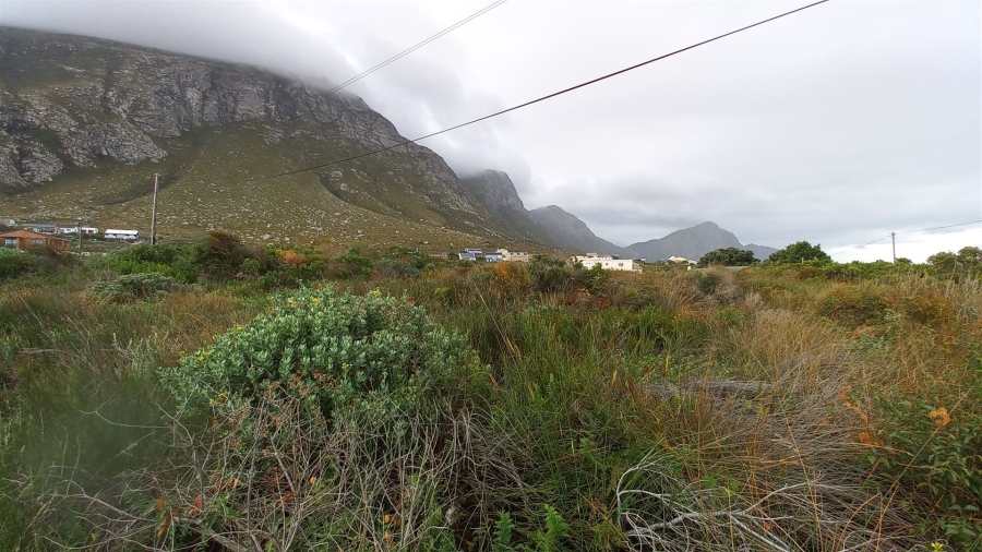0 Bedroom Property for Sale in Bettys Bay Western Cape